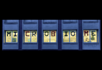 the windows of the quinn lab