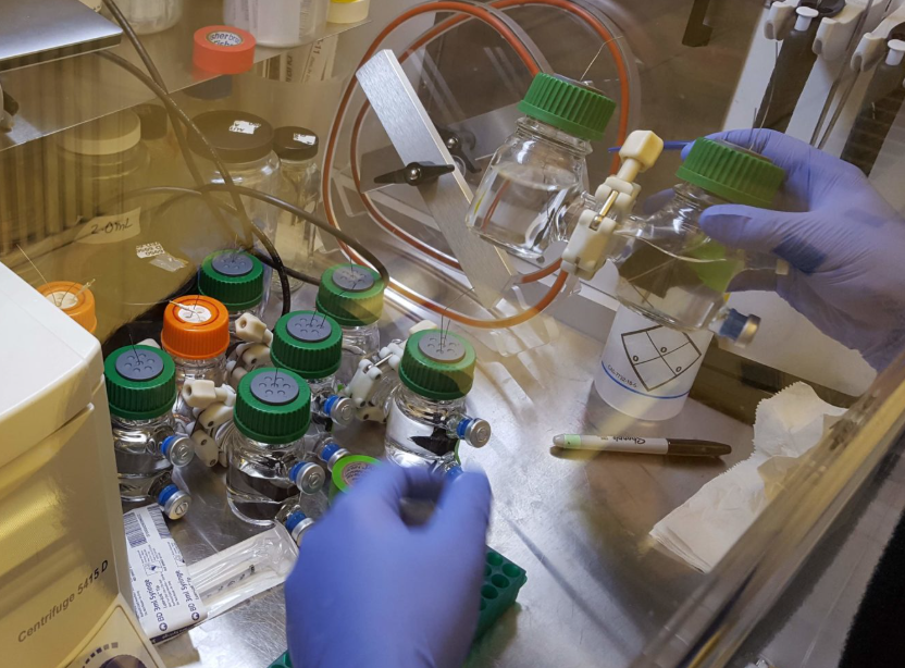 hands and electrodes working at a lab bench. 
