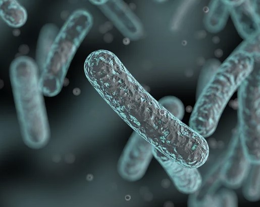close up image of microbes
