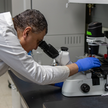 Dr. Mohamed Khalil looks through a microscope.