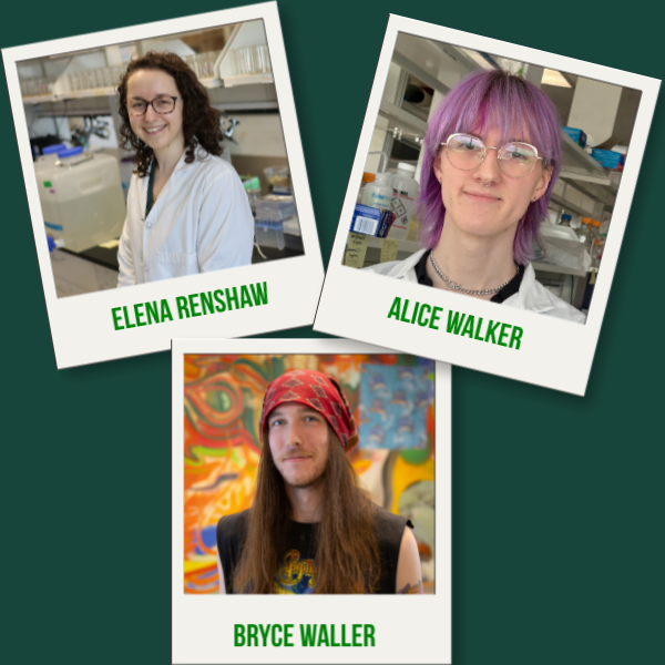 Green square with photos and names of the three NSF graduate fellowship recipients. 