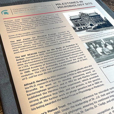 Metal plaque marking MSU's designation as an ASM Milestones in Microbiology Site