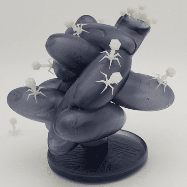 3D resin model of bateriaphage attacking bacteria