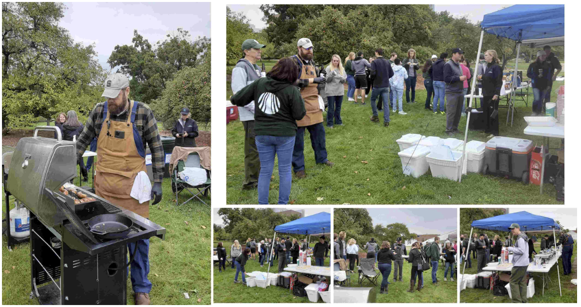 Various pictures of people enjoying a tailgate.