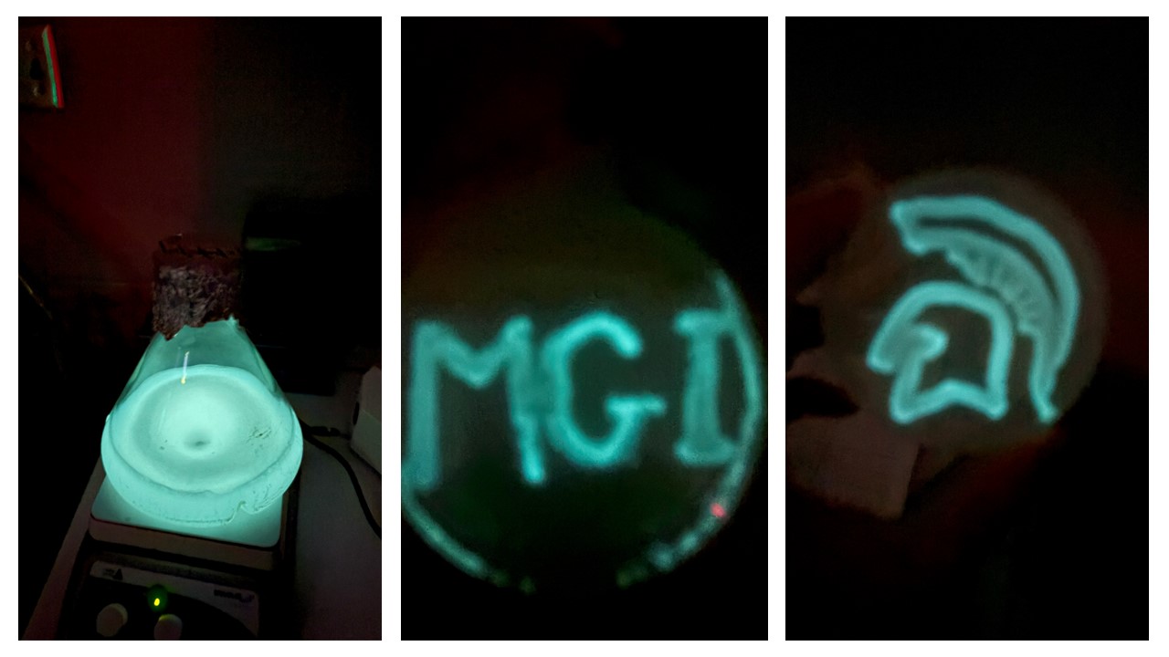 bioluminescence